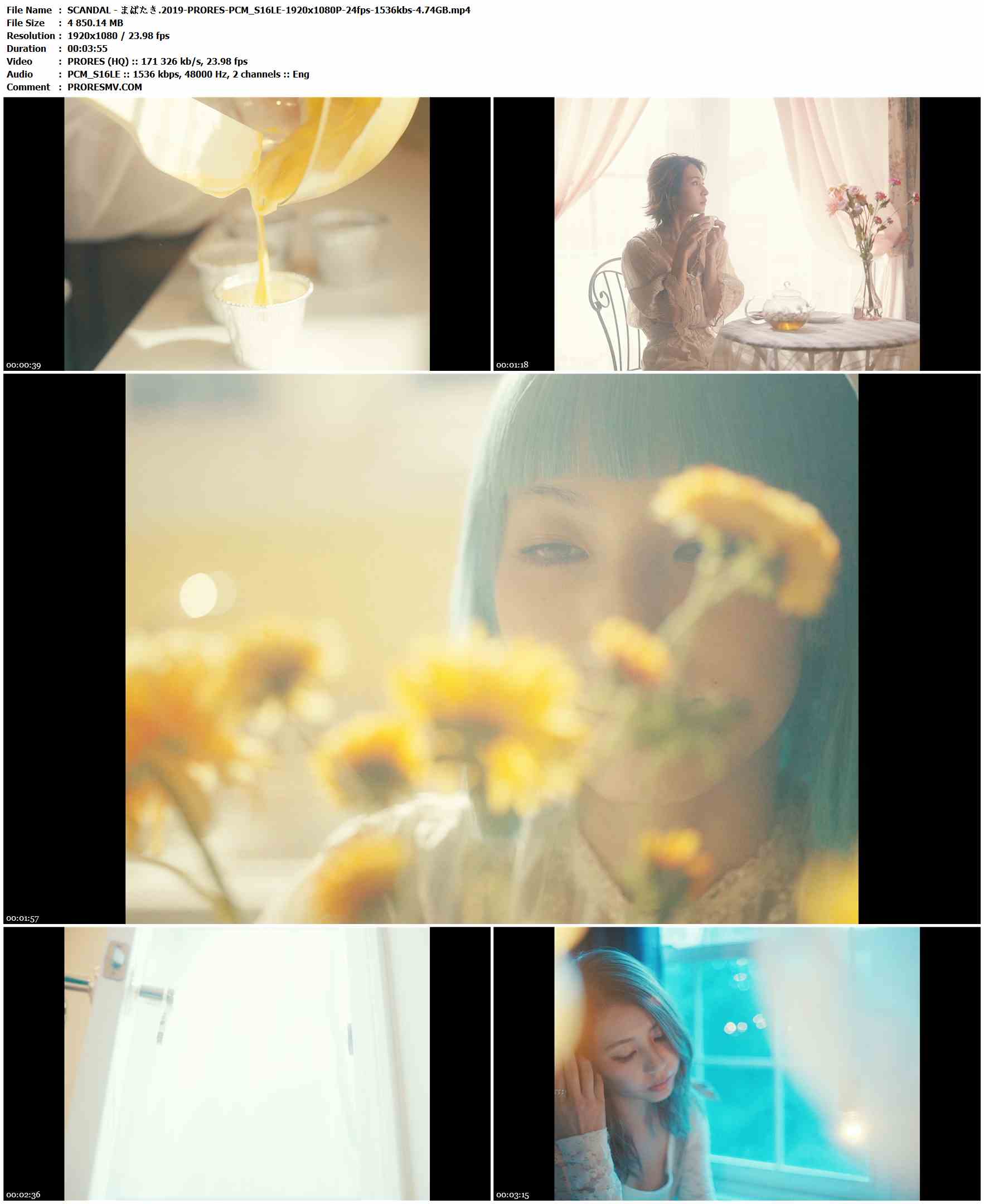 SCANDAL - まばたき.2019-PRORES-PCM_S16LE-1920x1080P-24fps-1536kbs-4.74GB官方MV_高清MV